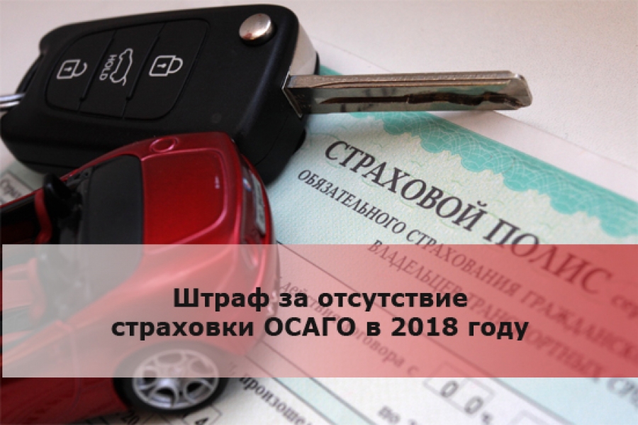 Штраф за езду без страховки — последние новости о новом законе 15.10.2018