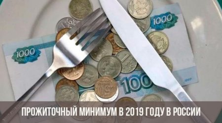 Увеличение прожиточного минимума в 2019 году — последняя информация