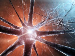 В США ученые успешно протестировали искусственный нерв