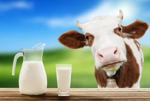 Почва для мутаций: ученых напугал состав украинского молока