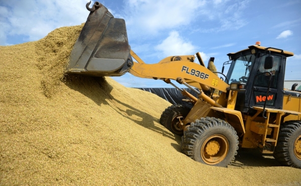 ВТБ купил зернового трейдера у сына вице-губернатора Кубани