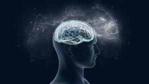 Ученые нашли удивительную особенность в мозге умных людей